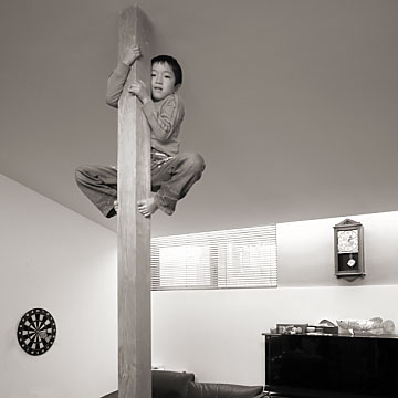 富田の家 II 2009-1