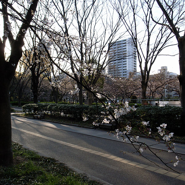 靱公園