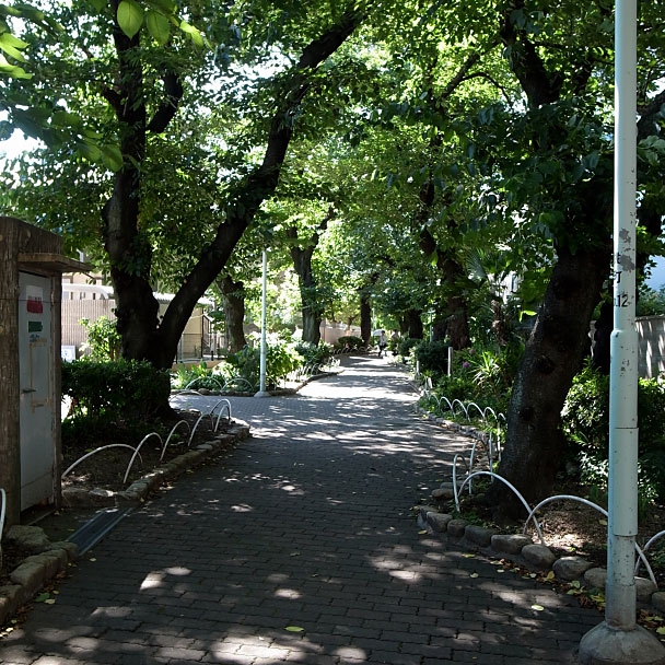遊歩道