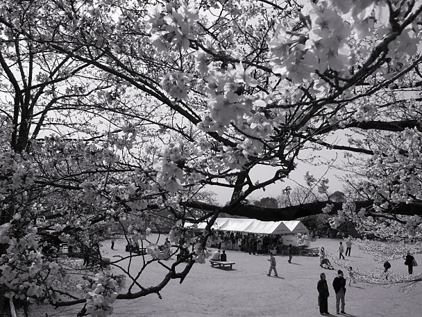 五月山公園にて