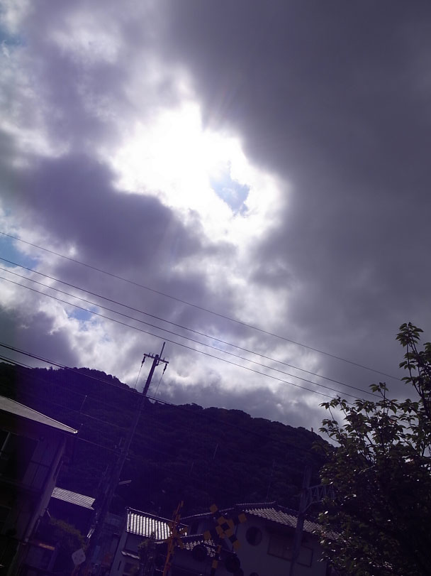 陽光