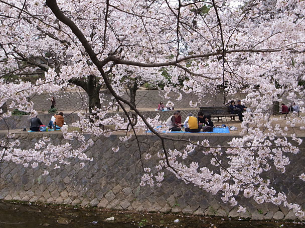 夙川2