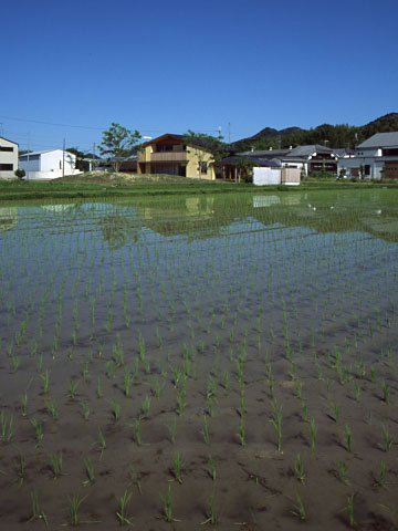 ���ӥĥ���2006 �����β�