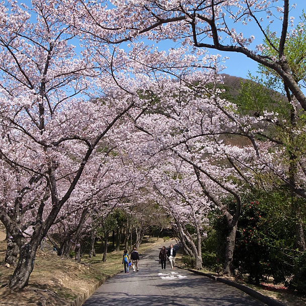 甲山森林公園