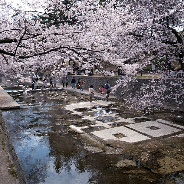 夙川1