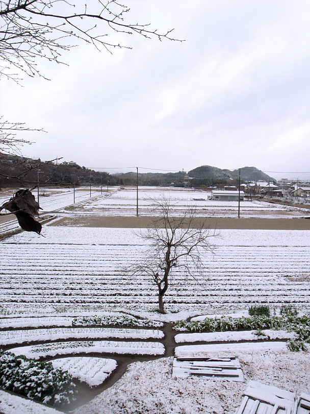 雪景色の篠山