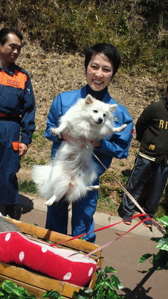 2011041711020000