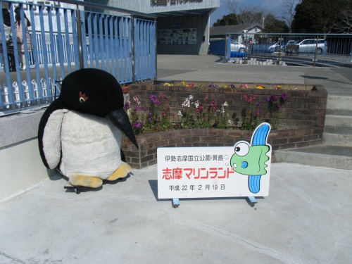 shima1