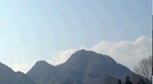 A1