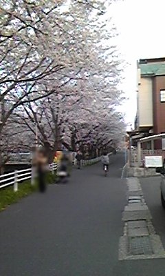 100404_180837