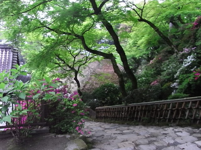 RIMG0804