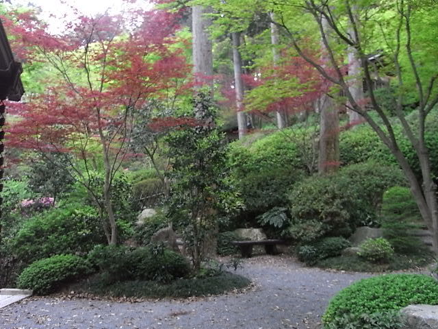 RIMG0658