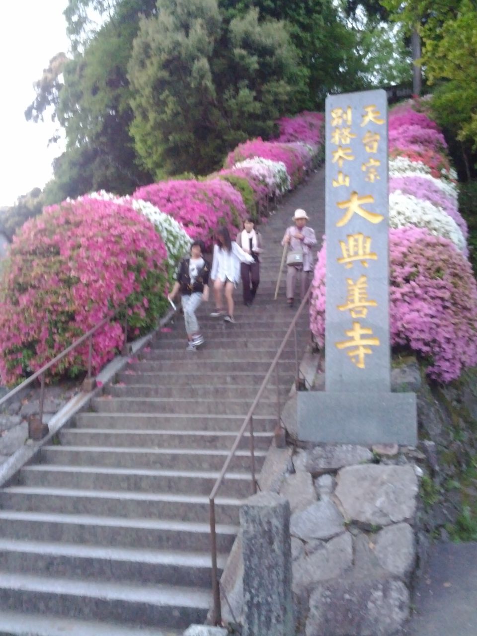IMG_20120504_190654[1]
