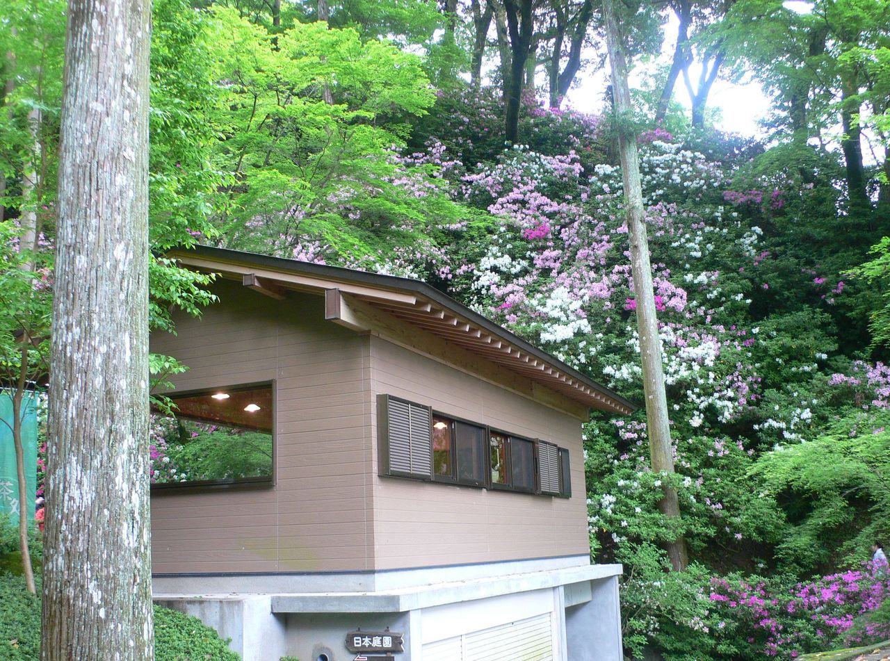 P1030009