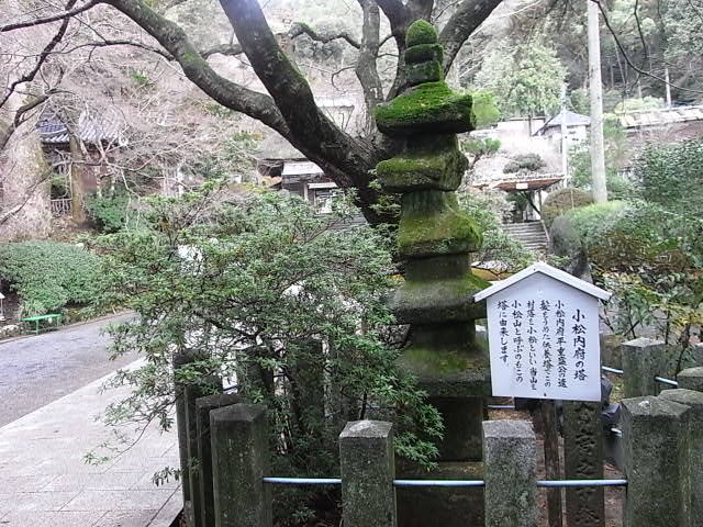 RIMG0382