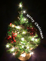 091224.Xmas