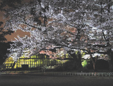 070408