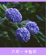 06-1