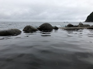 IMG_6984