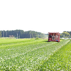 平成30年度の新茶予約受付