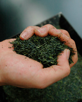 茶葉