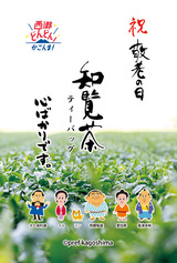 西郷どん(小)