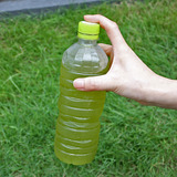 粉末緑茶2