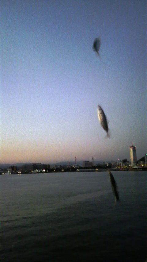 釣り