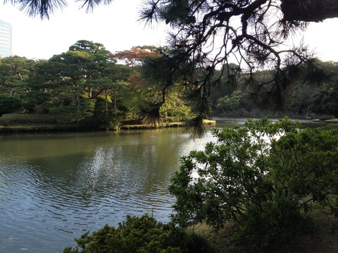 紀ノ川