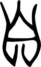 nose