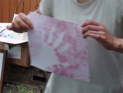 DSC00131