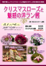 ���ꥹ�ޥ���������̥�Ǥ��Υ��Ÿ