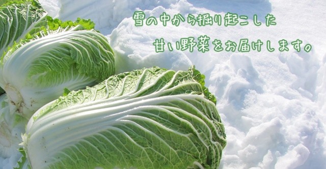 Àã²¼ÇòºÚ