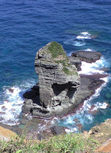 CA390156