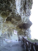 CA390159
