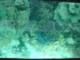 IMG_1401