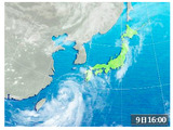himawari