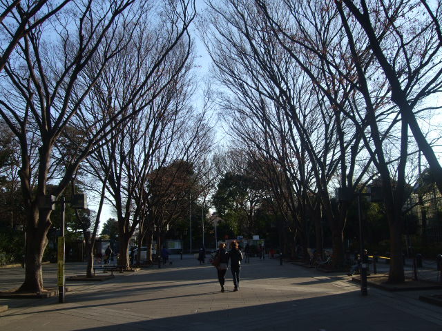 DSCF5406