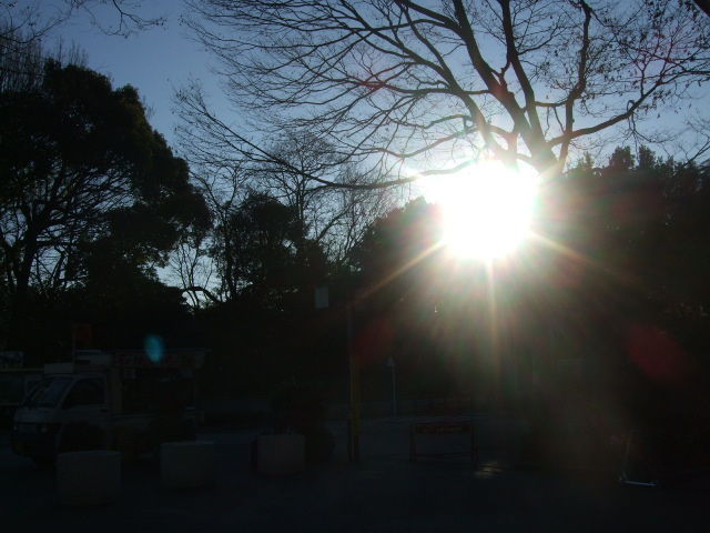 DSCF5414