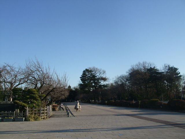 DSCF5418