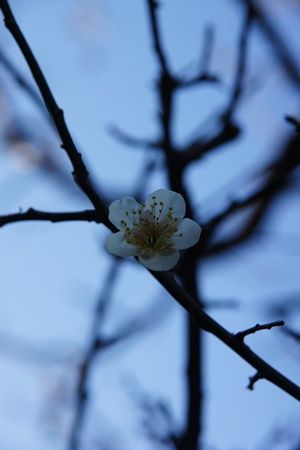 �ߤ��餤��