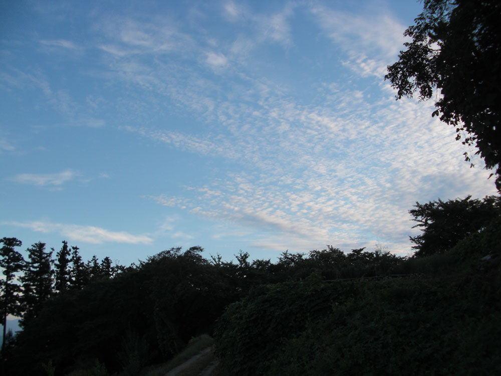 秋空