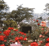 双松バラ園