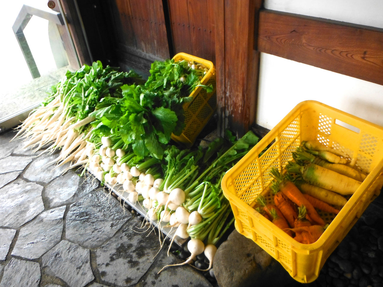 玄関野菜