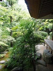 s-画像 094