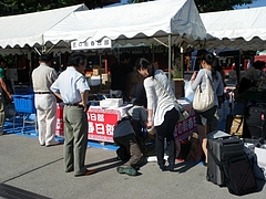 s-IMGP2777