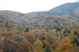 ����_����