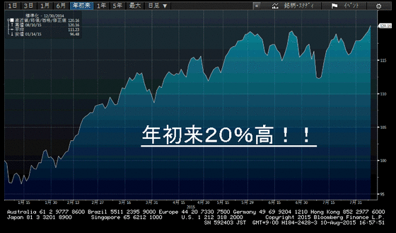 20%