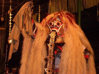 jiin