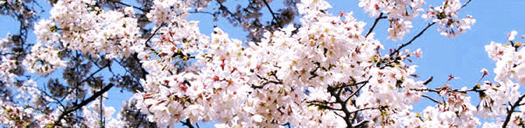 spring